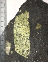 img (5).JPG