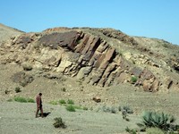 img (8).jpg img (8).jpg