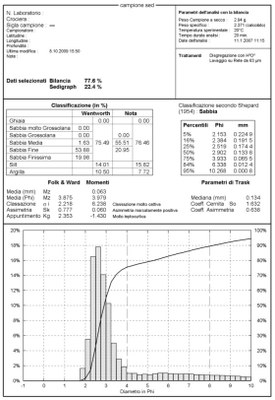 report analitico